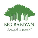 Big Banyan Vineyards & Resort
