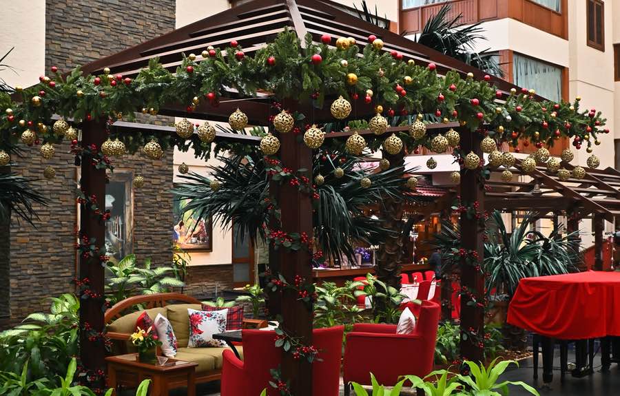 The Paul Bangalore - Christmas Event