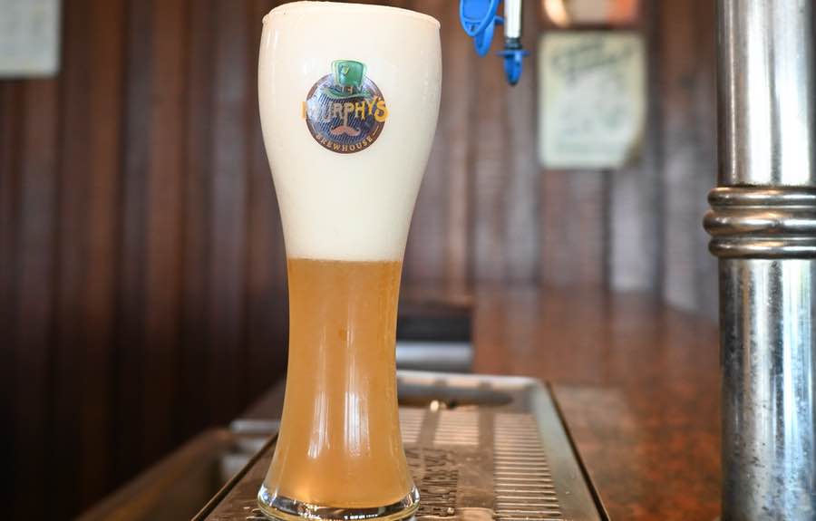 The Paul Bangalore - Murphy's Brewhouse