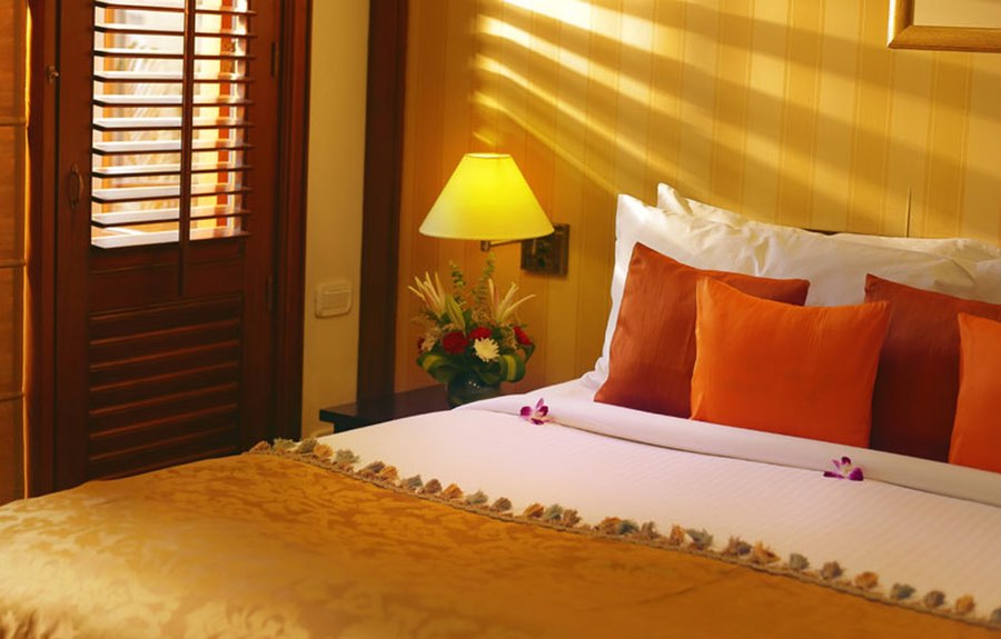 The Paul Bangalore - Stay More Save More